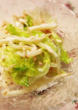 ☆もやしとレタスのシャキシャキサラダ☆-レシピのメイン写真