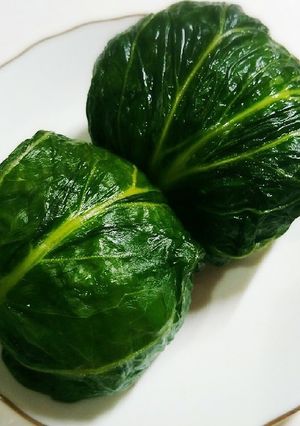 春の行楽に♪高菜のおにぎり-レシピのメイン写真