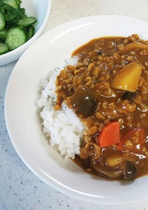 大豆のお肉で簡単！ヘルシーカレー-レシピのメイン写真