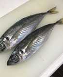 大名おろし!あじの三枚おろし〜刺身