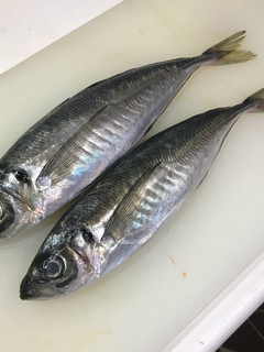 大名おろし!あじの三枚おろし〜刺身-レシピのメイン写真