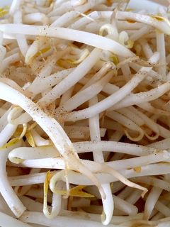 レンジだけ!もやしのポン酢塩コショウかけ-レシピのメイン写真
