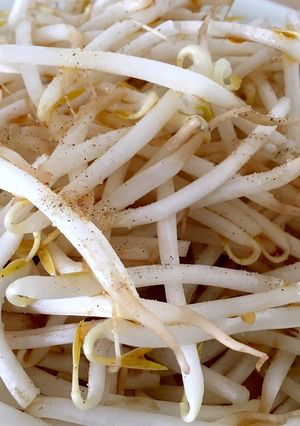 レンジだけ！もやしのポン酢塩コショウかけ-レシピのメイン写真