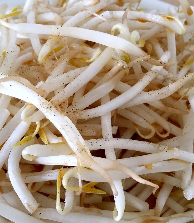 レンジだけ！もやしのポン酢塩コショウかけ-レシピのメイン写真