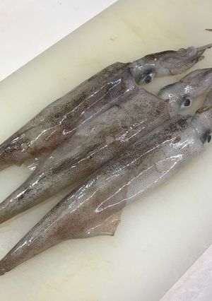簡単！やりいかのさばき方-レシピのメイン写真