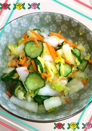 野菜の一夜漬け〜(o˘◡˘o)♡-レシピのメイン写真