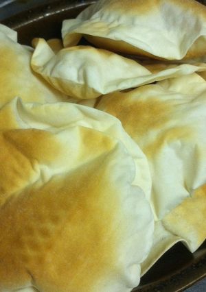 焼き餃子皮！ダイエットに-レシピのメイン写真