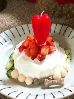愛情たっぷり入り♪「犬用ケーキ」-レシピのメイン写真