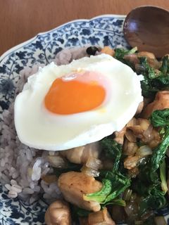 レンジで簡単☆目玉焼き-レシピのメイン写真