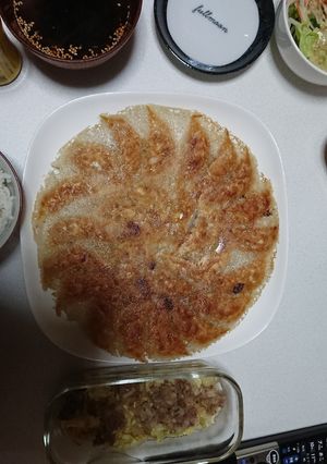 パリパリ羽根つきギョーザ☆-レシピのメイン写真