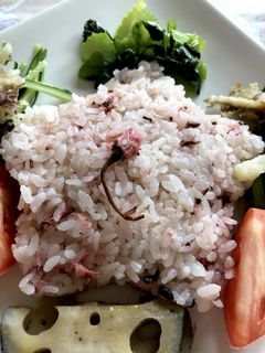 桜の梅酢ご飯-レシピのメイン写真