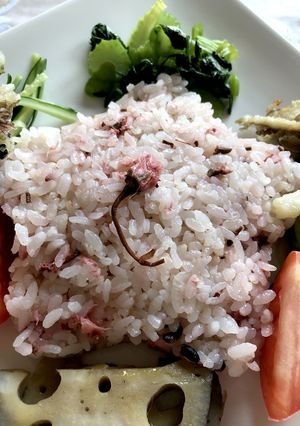 桜の梅酢ご飯-レシピのメイン写真
