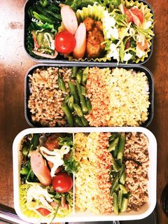 4色そぼろ丼弁当-レシピのメイン写真