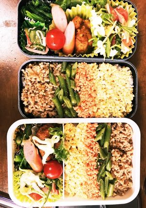 4色そぼろ丼弁当-レシピのメイン写真