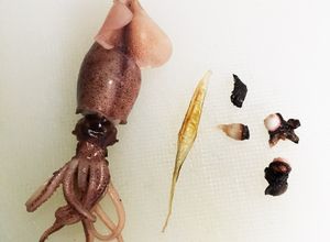 美味しく食べられる！ほたるいかの下処理♡-レシピのメイン写真