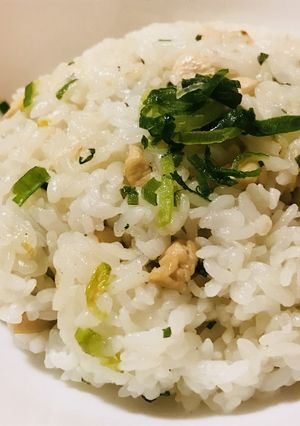シンプル★鶏ネギ塩チャーハン-レシピのメイン写真