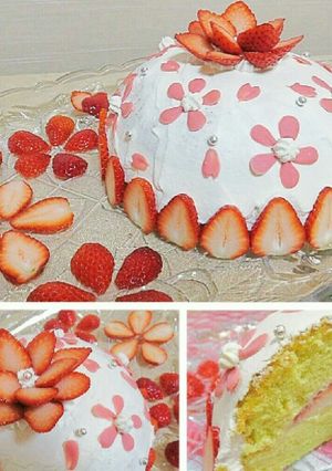 苺のドームケーキ☆チョコで桜-レシピのメイン写真