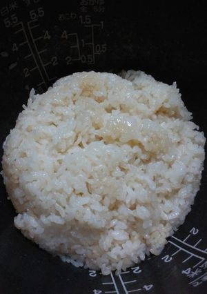 炊き込み酢飯-レシピのメイン写真