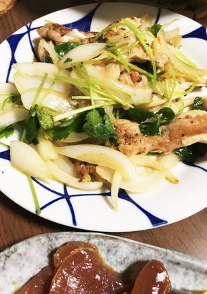 新玉ねぎとせせりの春炒め-レシピのメイン写真