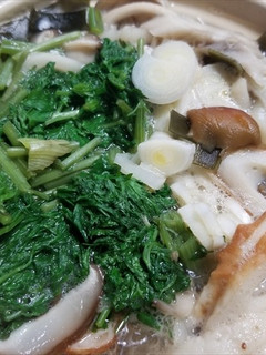 シャク入りなべ焼きキノコうどん-レシピのメイン写真