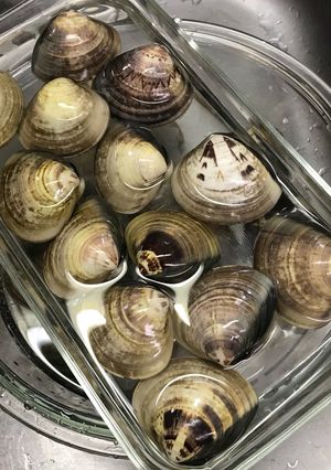 簡単にできる！はまぐりの砂抜き-レシピのメイン写真