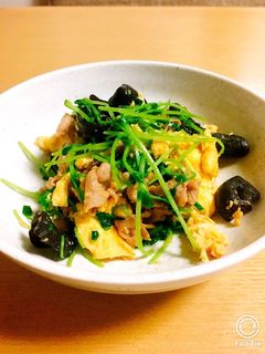 豆苗と豚肉のオイスター炒め-レシピのメイン写真