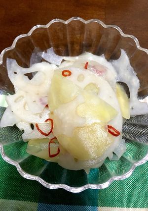 レンコンと生姜のガリ-レシピのメイン写真