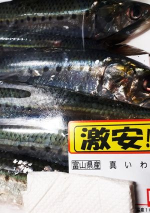 いわしのさっぱり生姜煮-レシピのメイン写真