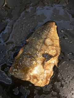 あじの蒲焼き-レシピのメイン写真