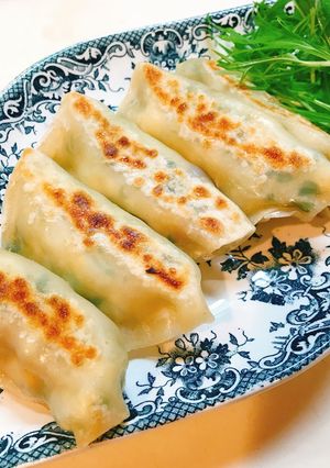 大根とキャベツの春餃子-レシピのメイン写真