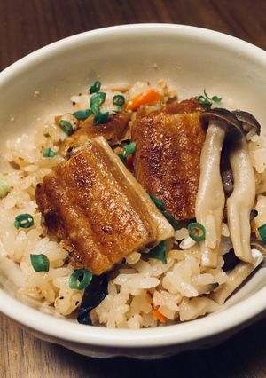 茅乃舎のだしパックで簡単うなぎの釜飯！-レシピのメイン写真
