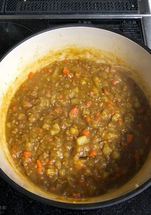バーミキュラで簡単　無水キーマカレー-レシピのメイン写真