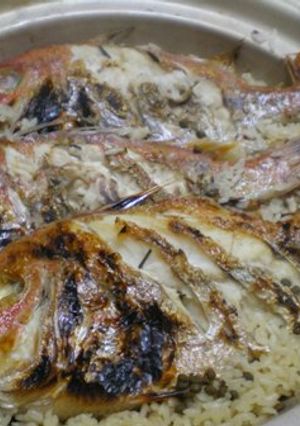 鯛めし-レシピのメイン写真