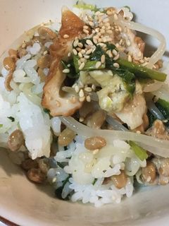 納豆とほうれん草のゴマ風味まぜご飯-レシピのメイン写真