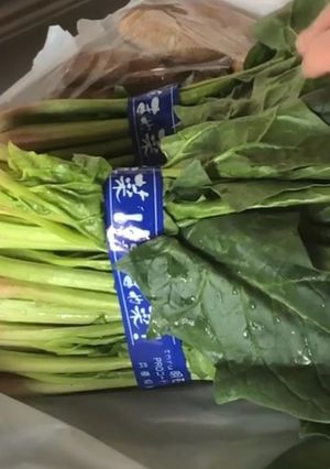 葉野菜を長期間新鮮なまま保存する方法-レシピのメイン写真