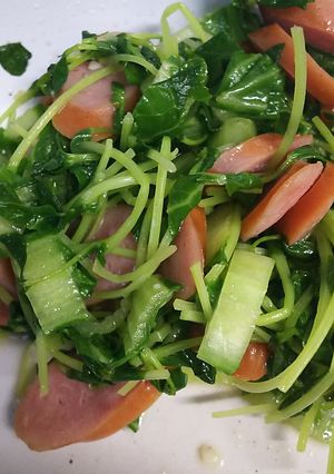 豆苗と白菜とソーセージの炒め物-レシピのメイン写真