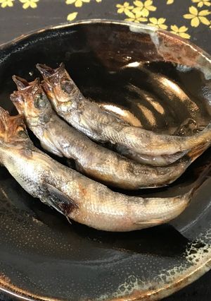 脂のりのり！自家製干物めひかりの丸干し-レシピのメイン写真