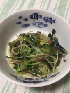 かいわれ大根のお浸しサラダ-レシピのメイン写真