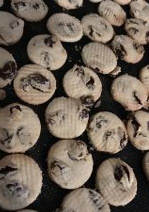 小麦粉不使用サクサクのおからクッキー-レシピのメイン写真