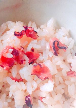 炊きこまないタコ飯-レシピのメイン写真