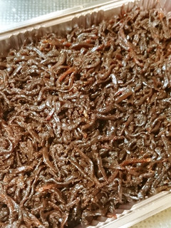 今年も作る♪春の訪れイカナゴの釘煮-レシピのメイン写真