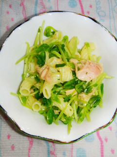 豆苗とツナの簡単サラダ☆-レシピのメイン写真