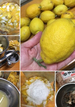 レモン丸ごと利用術-レシピのメイン写真