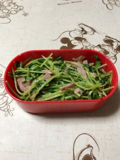 豆苗のマヨ炒め-レシピのメイン写真