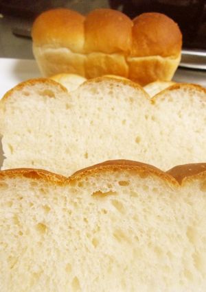 基本のミニパンと湯だねパンを比べてみた♡-レシピのメイン写真