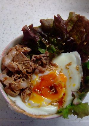 コチジャンドレッシングの簡単丼！-レシピのメイン写真
