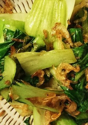 激簡単！チンゲン菜と干しエビ炒め-レシピのメイン写真