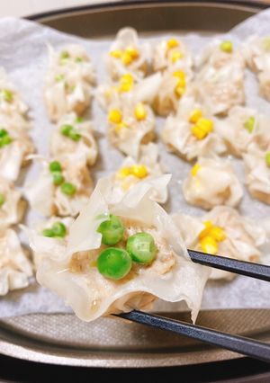ホットプレートで生姜香る焼売-レシピのメイン写真