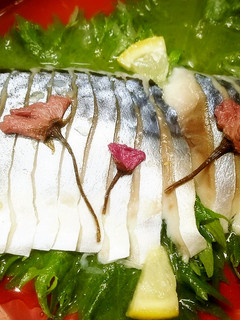 レモンで作るしめ鯖(きずし)-レシピのメイン写真