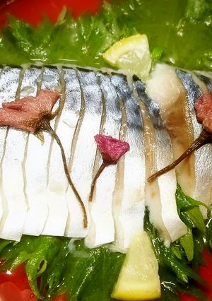 レモンで作るしめ鯖（きずし）-レシピのメイン写真